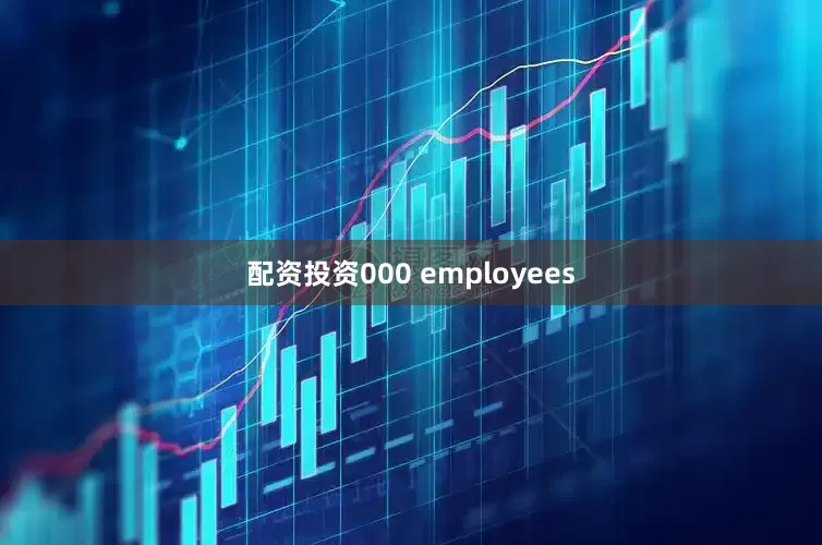 配资投资000 employees