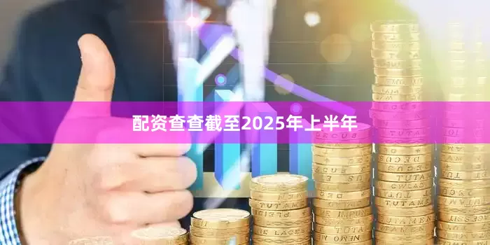配资查查截至2025年上半年