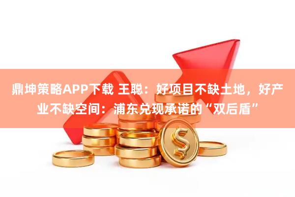 鼎坤策略APP下载 王聪：好项目不缺土地，好产业不缺空间：浦东兑现承诺的“双后盾”
