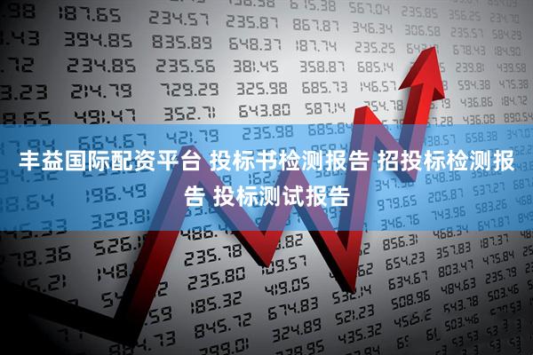 丰益国际配资平台 投标书检测报告 招投标检测报告 投标测试报告