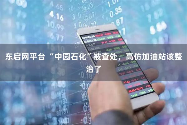 东启网平台 “中园石化”被查处，高仿加油站该整治了