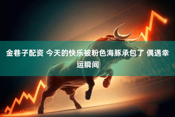 金巷子配资 今天的快乐被粉色海豚承包了 偶遇幸运瞬间
