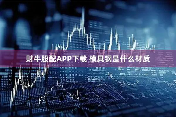 财牛股配APP下载 模具钢是什么材质