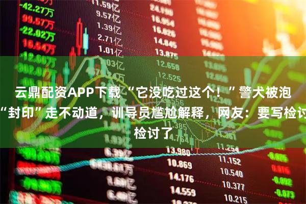 云鼎配资APP下载 “它没吃过这个！”警犬被泡面“封印”走不动道，训导员尴尬解释，网友：要写检讨了