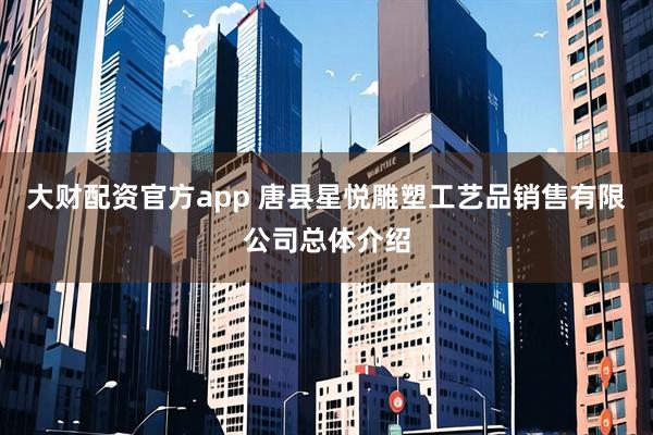 大财配资官方app 唐县星悦雕塑工艺品销售有限公司总体介绍