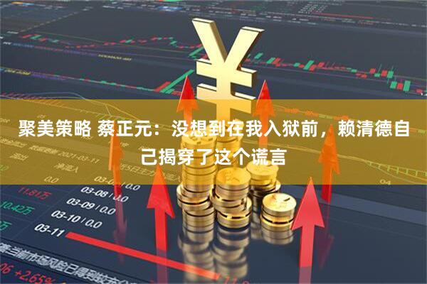 聚美策略 蔡正元：没想到在我入狱前，赖清德自己揭穿了这个谎言
